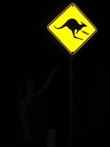 kangaroocrossing.jpg