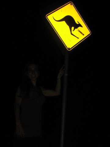 kangaroocrossing2.jpg