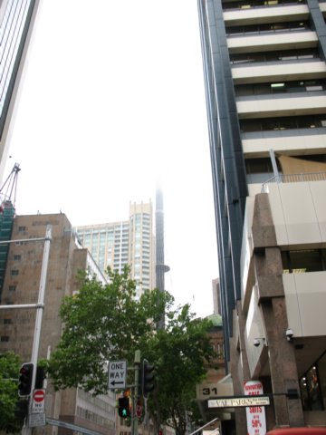 sydneytower2.jpg